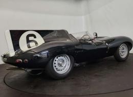 Jaguar Type D Replica Lynx