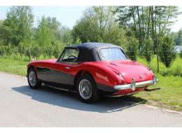 Austin Healey 3000
