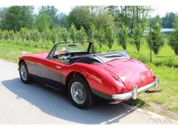 Austin Healey 3000