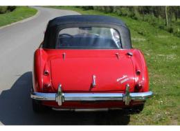 Austin Healey 3000