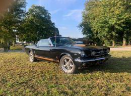 Ford Mustang V8 Cabriolet