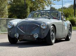 Austin Healey 100 / M BN1 FIA
