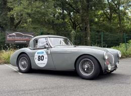 Austin Healey 100 / M BN1 FIA