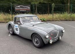 Austin Healey 100 / M BN1 FIA