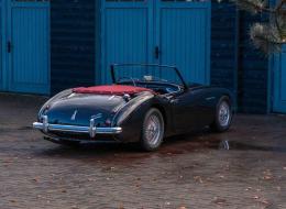 Austin Healey 100 / 6 BN4 