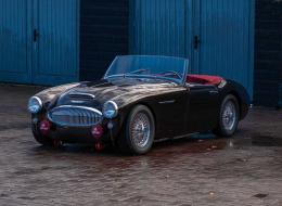 Austin Healey 100 / 6 BN4 
