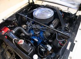 Ford Mustang V8 289 FIA