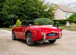 Austin Healey Sprite Frogeye