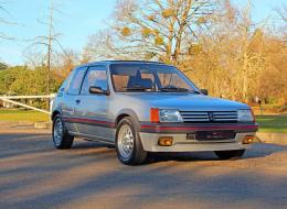 Peugeot 205 GTI 1.6