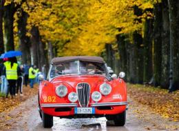 Jaguar Série - XK OTS Roadster