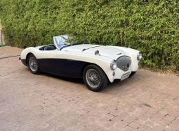 Austin Healey 100 M