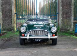 Austin Healey 3000 MKIII BJ8