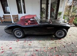 Austin Healey 100 / 4 BN1