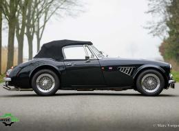 Austin Healey 3000 Mk4 by HMC