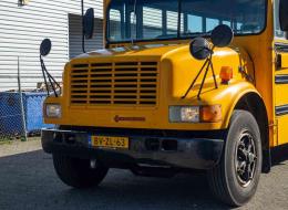 Bus  International 3800 School Bus