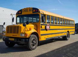 Bus  International 3800 School Bus