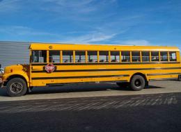 Bus  International 3800 School Bus