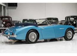 Austin Healey 3000 Mark III BJ8