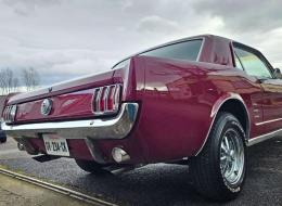 Ford Mustang V8 289 Coupé