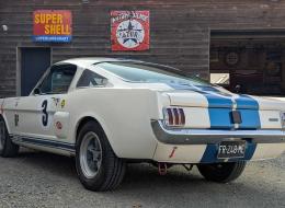 Shelby GT 350 Replica