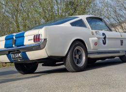 Shelby GT 350 Replica
