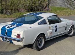 Shelby GT 350 Replica