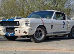 Shelby GT 350 Replica