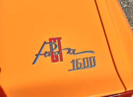 Puma GT GTE Tubarao (requin)