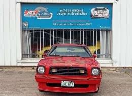 Ford Mustang II King Cobra