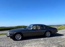 Jaguar XJS  3.6L
