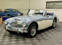 Austin Healey 3000 Mark III BJ8