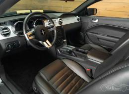 Ford Mustang Shelby GT-H 