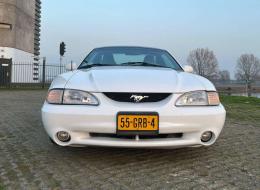 Ford Mustang SN95 Coupe