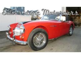 Austin Healey 3000 Mk III (BJ8)