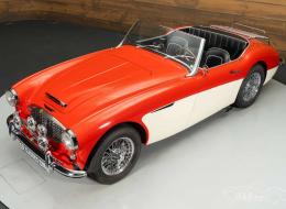 Austin Healey 100 / 6