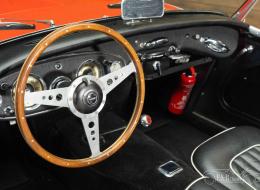 Austin Healey 100 / 6