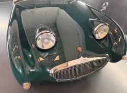 Austin Healey Sprite Frogeye