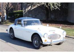 Austin Healey 3000 Mark III