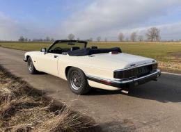 Jaguar XJS V12 Cabriolet