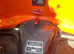 Buggy Meyers Manx Original