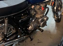 Moto Triumph Trident T150V