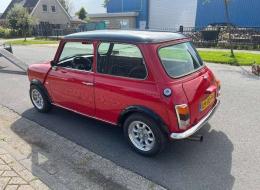 Mini 1000
