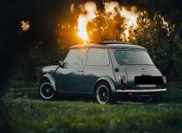 Mini 1000 Austin