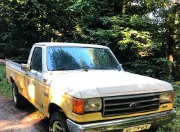 Ford Pick-up F 150 CUSTOM