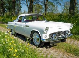 Ford Thunderbird Cabriolet
