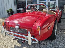 AC Cobra 289 MK2 Replica Europa