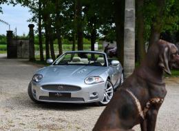 Jaguar XKR 4.2 V8 416 CV