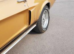 Ford Mustang GT 500 Shelby