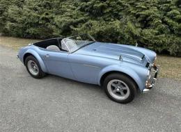Austin Healey 3000 Replica V8
