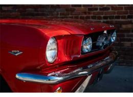 Ford Mustang V8 Coupé